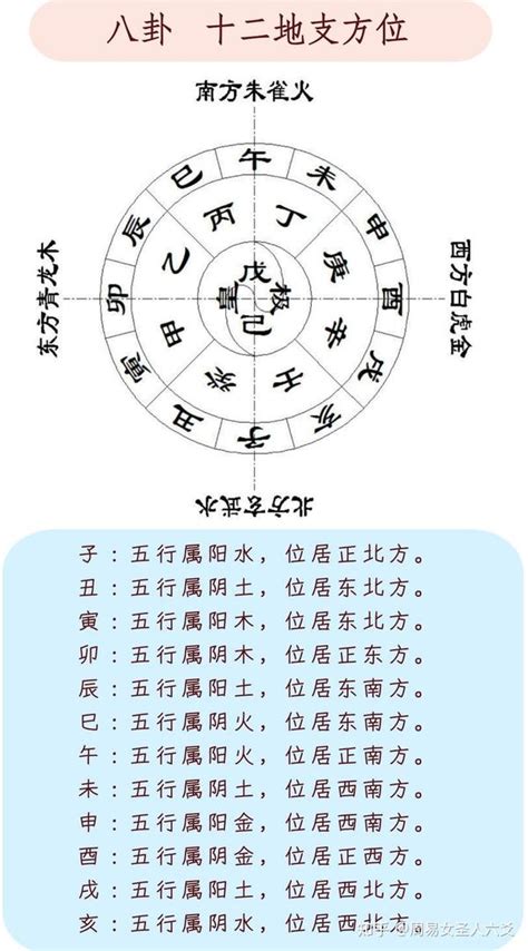 申·桑-金|十二地支詳解—申金